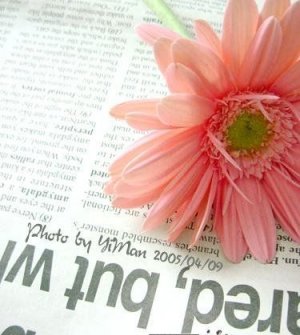 真爱永远